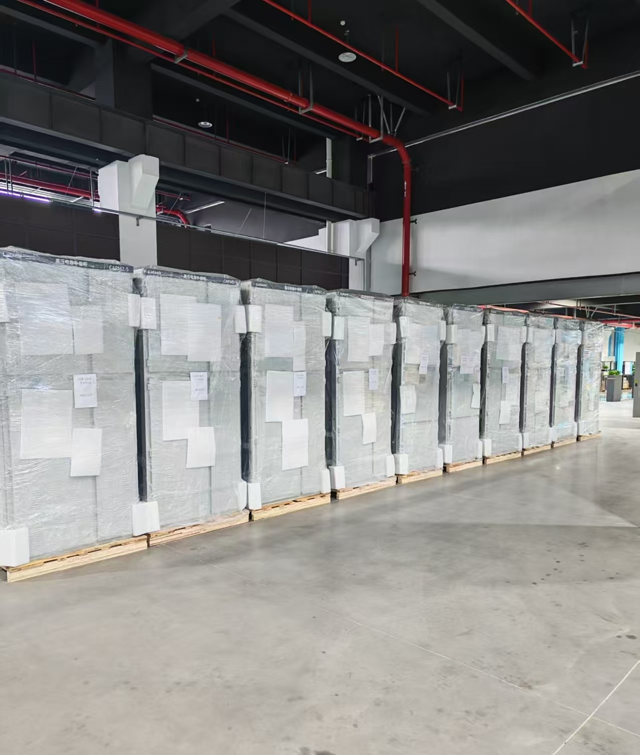 เทคโนโลยีชีวภาพ 10 KVPFC